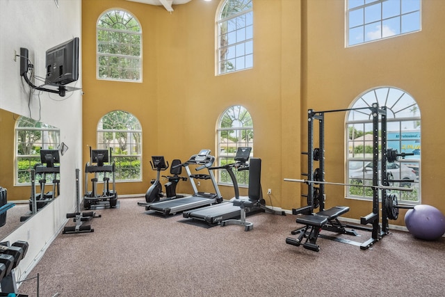 workout area with a high ceiling