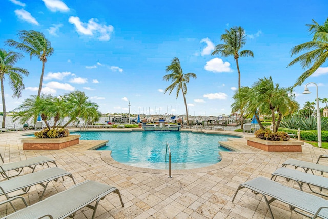 view of pool featuring a patio