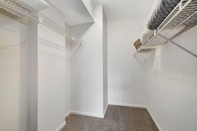 spacious closet with carpet