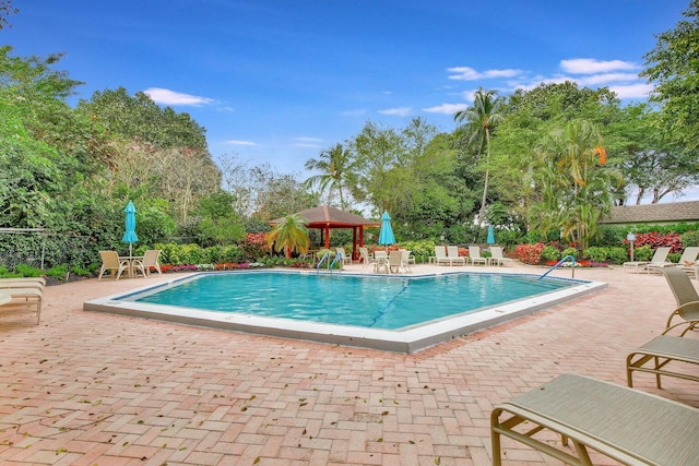 view of pool featuring a patio area