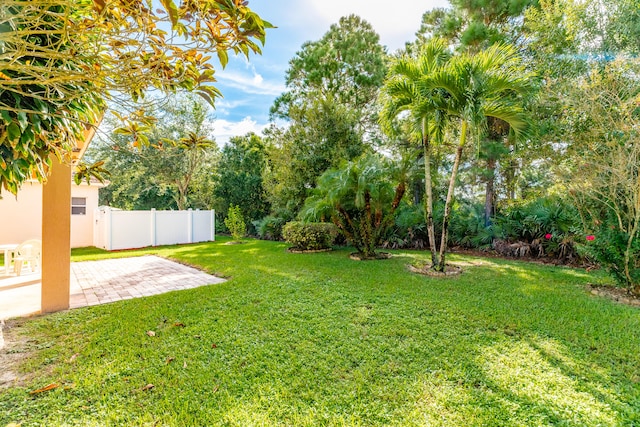 view of yard featuring a patio