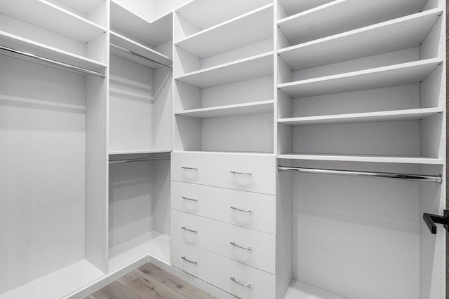 walk in closet with hardwood / wood-style flooring