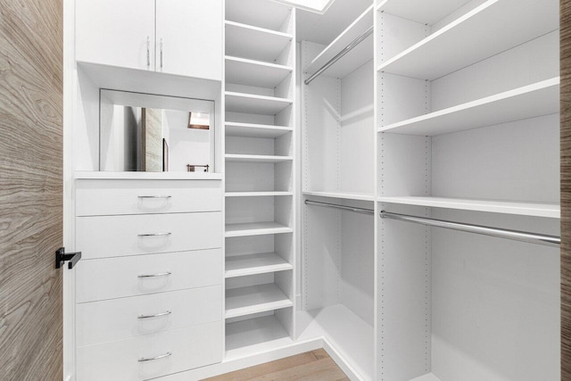 spacious closet featuring wood-type flooring