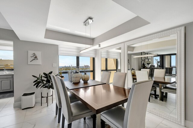 dining area featuring a raised ceiling