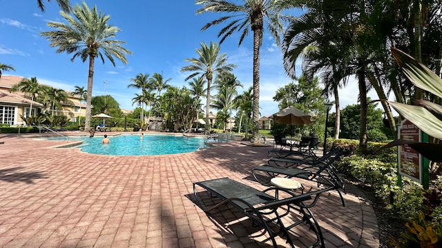 view of swimming pool with a patio area