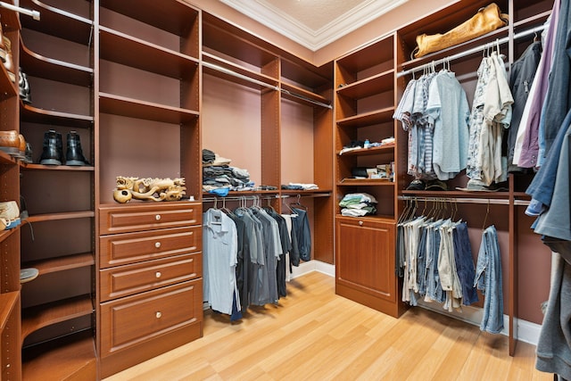 walk in closet featuring light hardwood / wood-style floors