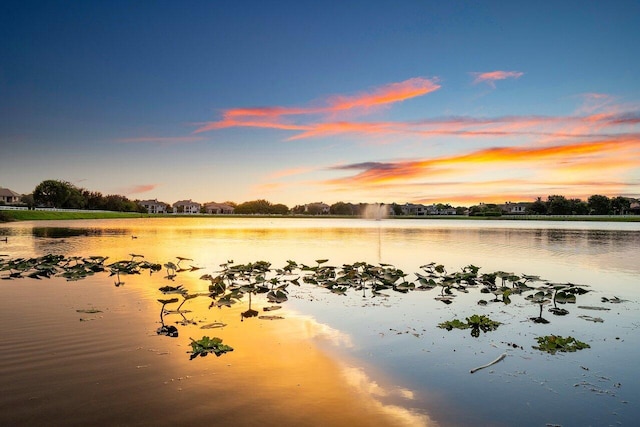 property view of water