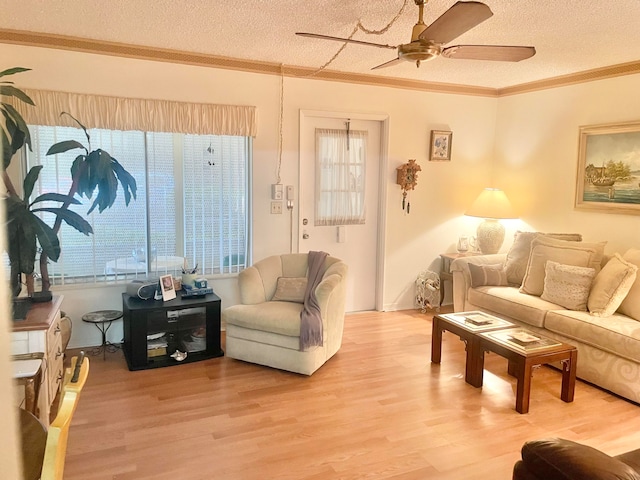 living room with light wood-type flooring, a wealth of natural light, and ceiling fan