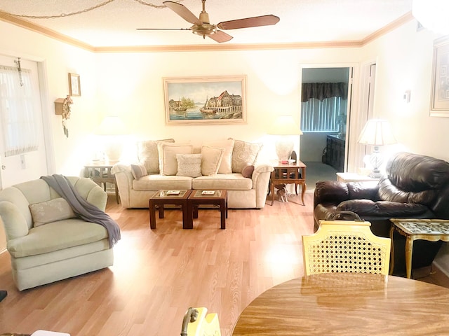 living room featuring light wood-type flooring, ceiling fan, crown molding, and a textured ceiling