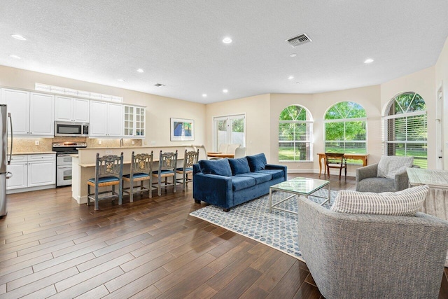 living room with a textured ceiling and dark hardwood / wood-style floors