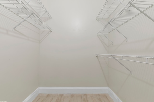 spacious closet featuring hardwood / wood-style flooring