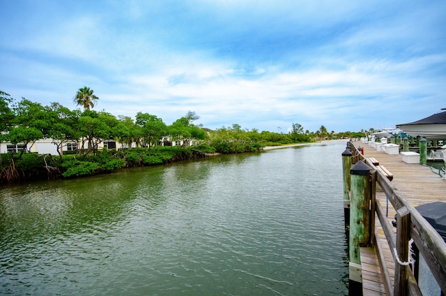 water view featuring a boat dock