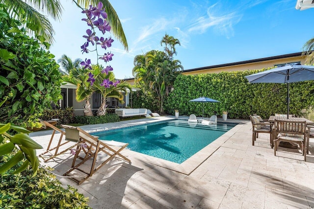 view of pool featuring a patio area