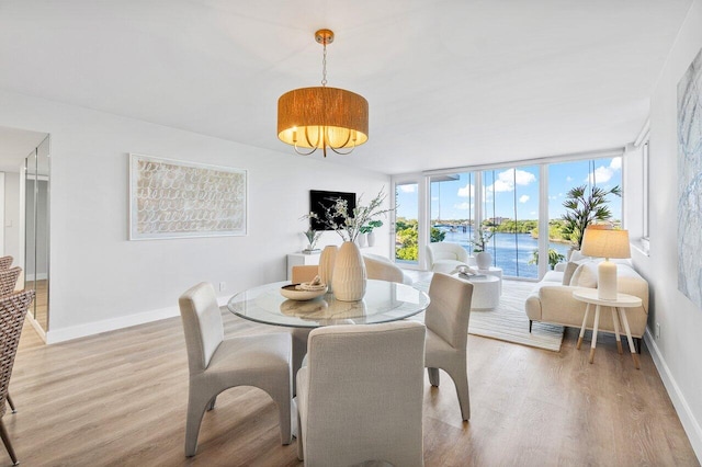 dining space with a wall of windows, a chandelier, and light hardwood / wood-style floors