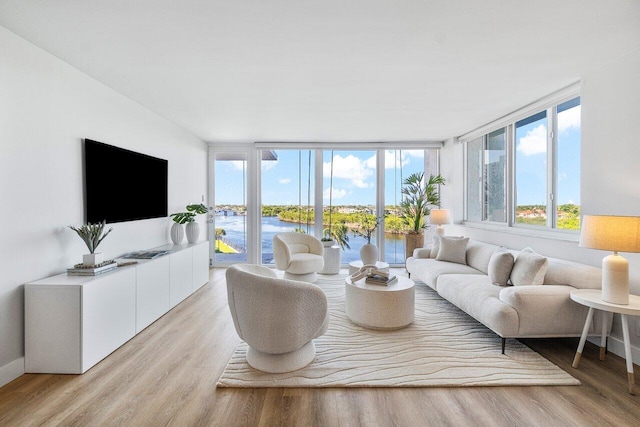 living room featuring light wood-type flooring