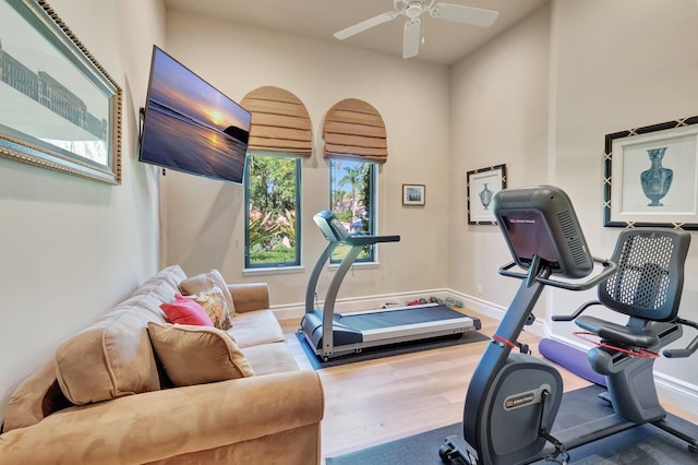 workout area with wood-type flooring and ceiling fan