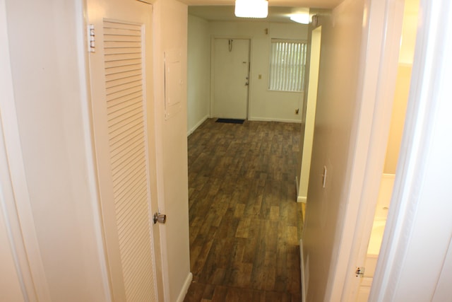 hallway featuring dark hardwood / wood-style floors