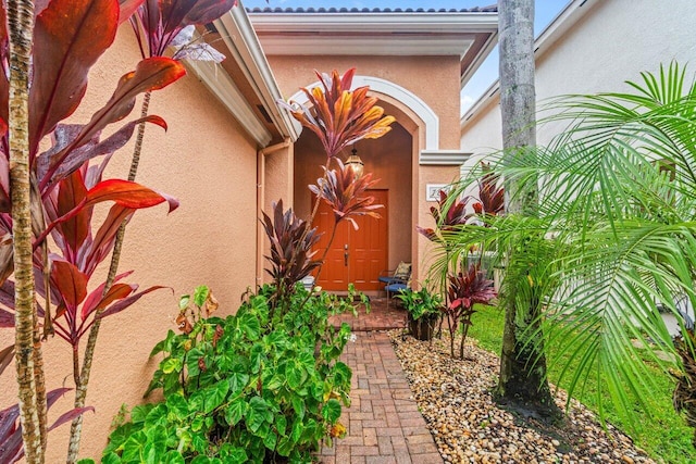 doorway to property with stucco siding