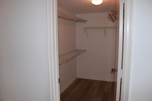 spacious closet with dark wood-type flooring