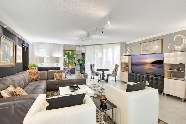 living room featuring ornamental molding, a textured ceiling, and rail lighting