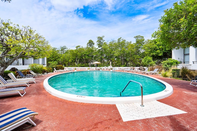 view of swimming pool featuring a patio