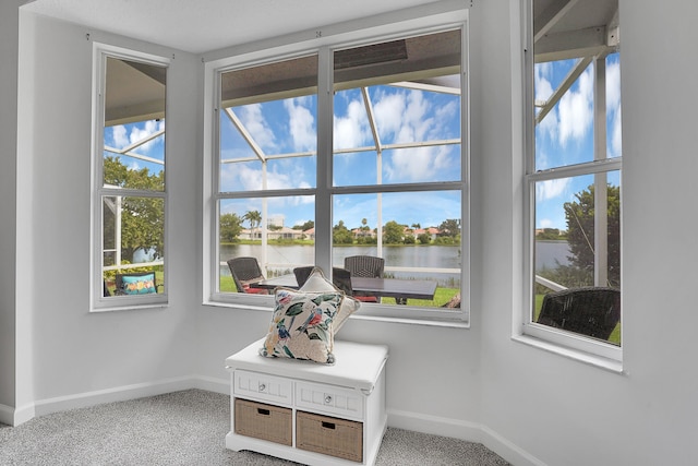 details with a water view and carpet floors