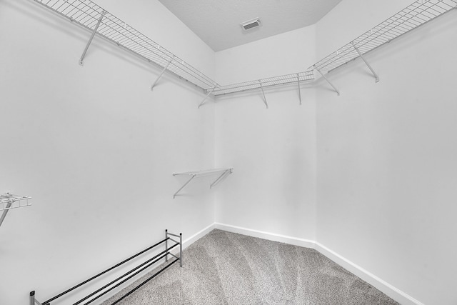 walk in closet featuring carpet floors and a baseboard heating unit