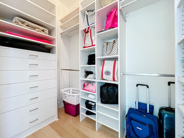 spacious closet with light wood-type flooring