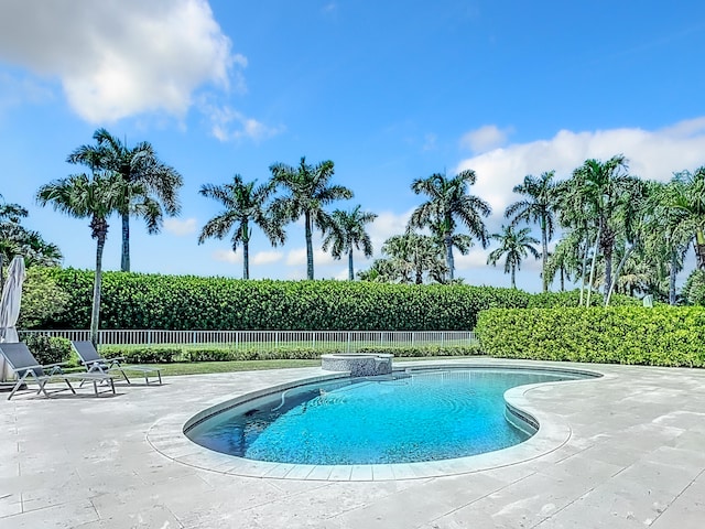 view of pool featuring a patio area