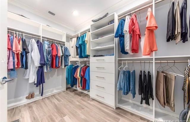 walk in closet featuring hardwood / wood-style flooring