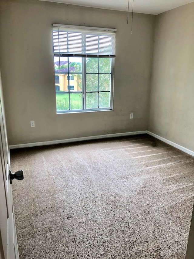 spare room featuring carpet