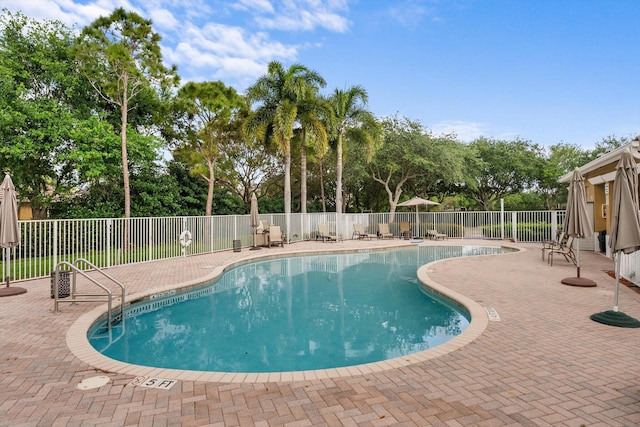 view of swimming pool with a patio