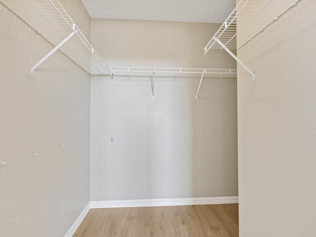 walk in closet featuring wood-type flooring