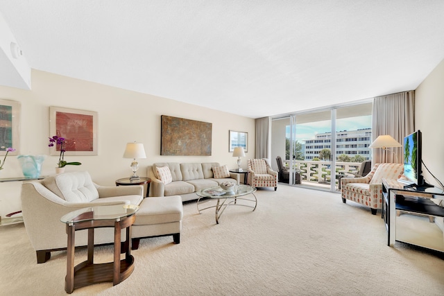 carpeted living room with expansive windows