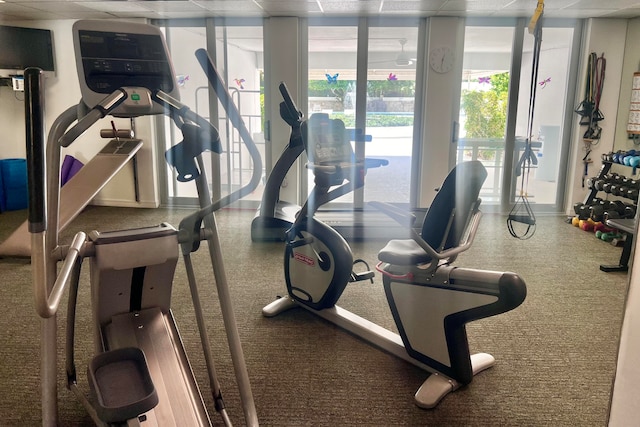 exercise room featuring a drop ceiling