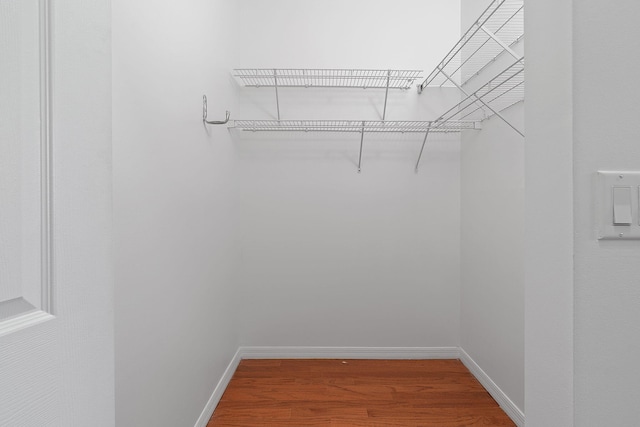 spacious closet featuring hardwood / wood-style flooring