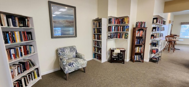 sitting room with carpet