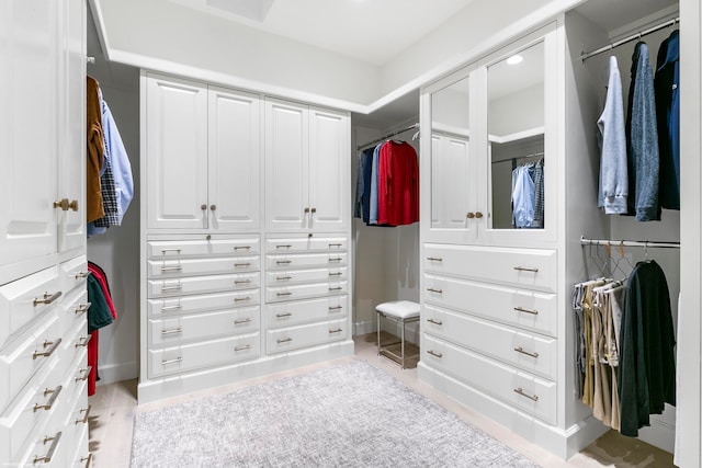 view of spacious closet