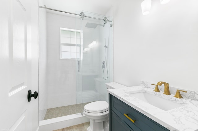 bathroom with a shower with door, vanity, wood-type flooring, and toilet