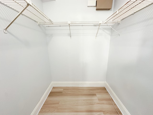 walk in closet featuring hardwood / wood-style flooring