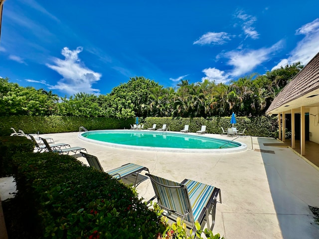 view of swimming pool featuring a patio area