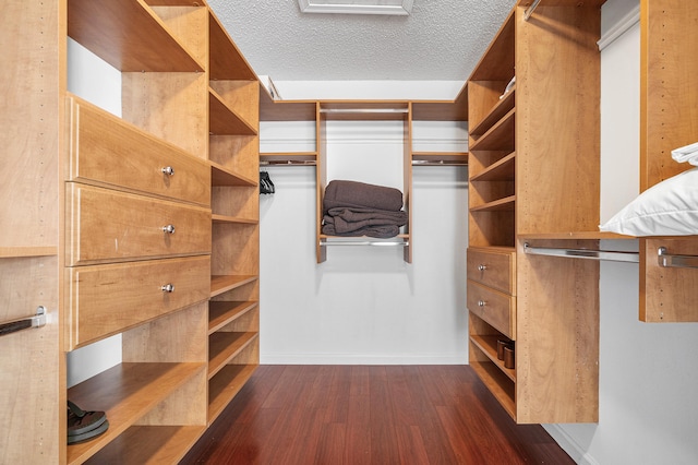 walk in closet featuring dark hardwood / wood-style floors