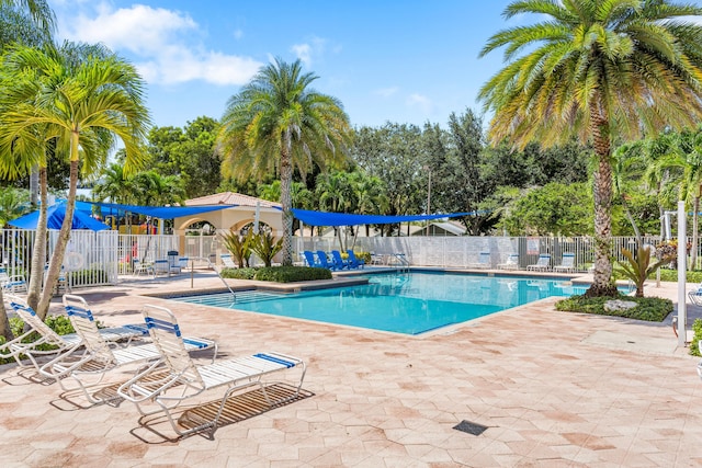 view of swimming pool featuring a patio area