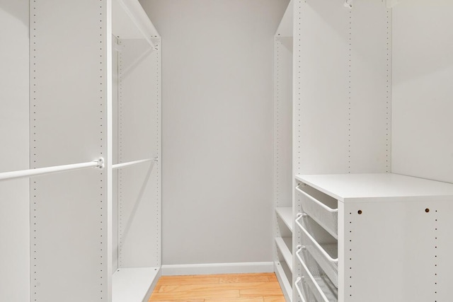 spacious closet with hardwood / wood-style flooring