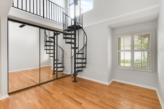 interior space featuring wood-type flooring