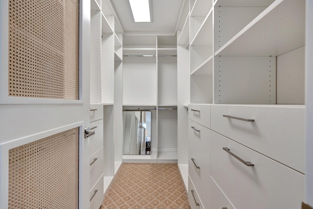 view of spacious closet