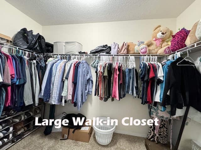 spacious closet featuring carpet flooring