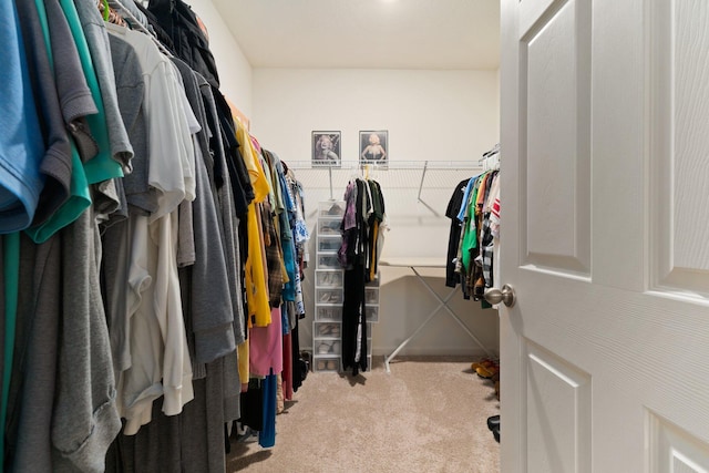 walk in closet featuring light carpet