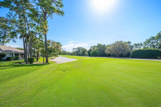 view of property's community with a yard