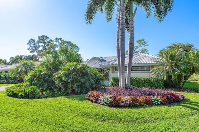 exterior space with a yard